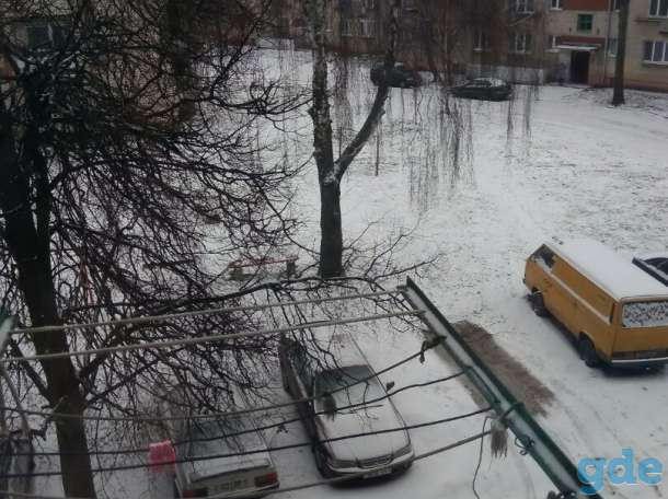 Квартира срочно, Бульвар Бородинского 9/1, фотография 5