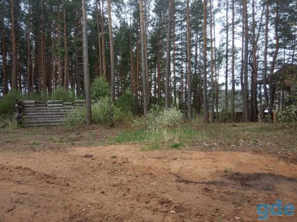 Продам земельный участок, Бешенковический район д.Хмельник, фотография 5