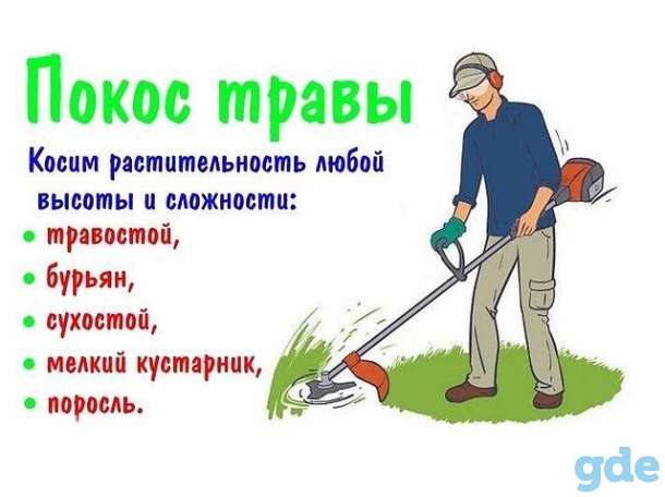 Покос травы и бурьяна, спил кустарников и мелких деревьев, фотография 1