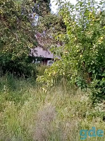 Дом, Смолевичский р-н,Курганский с/с,д.Кленник, фотография 8