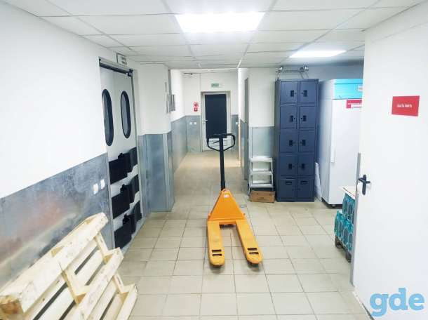 Сдам в аренду торговое помещение 505,3м2 в мкр-не Северный г.Барановичи, фотография 9