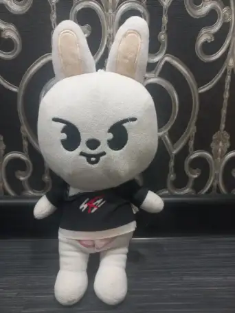 Продам мягкие игрушки Stray kids, фотография 2