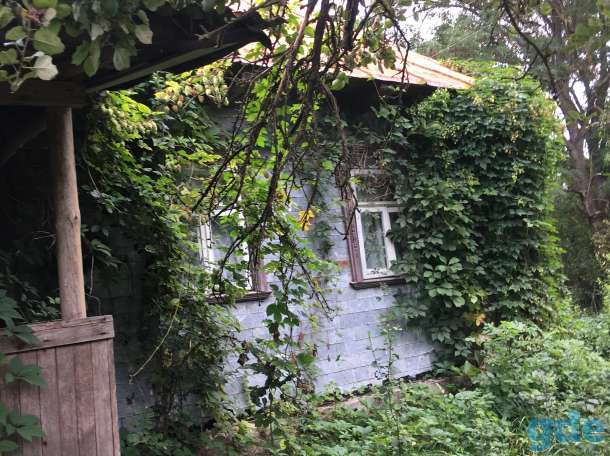 дом на хуторе с документами, деревня Нарутовичи (хутор), фотография 2