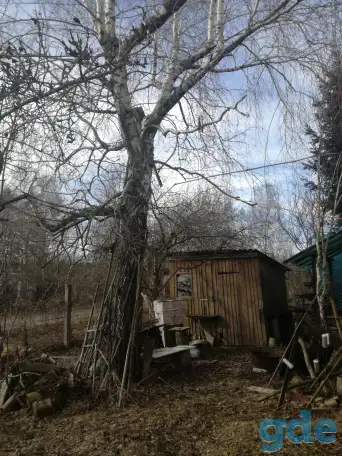 Дачный участок, фотография 3