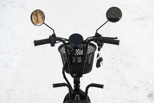 Электросамокат AVM DELTA TRIKE, фотография 12