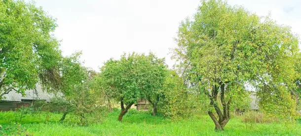 Продается крепкий дом по адресу: Минская область, Воложинский район, Вишневский сельсовет, дер. Новоселки, дом 69, фотография 8