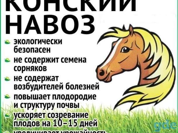 Навоз, фотография 1