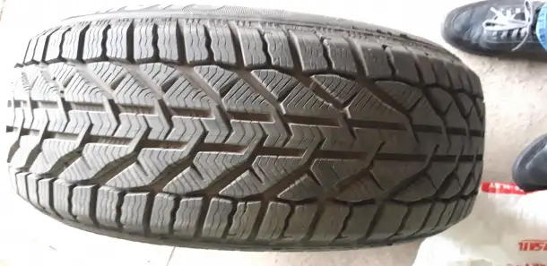 Продам зимние шины карморан, фотография 1