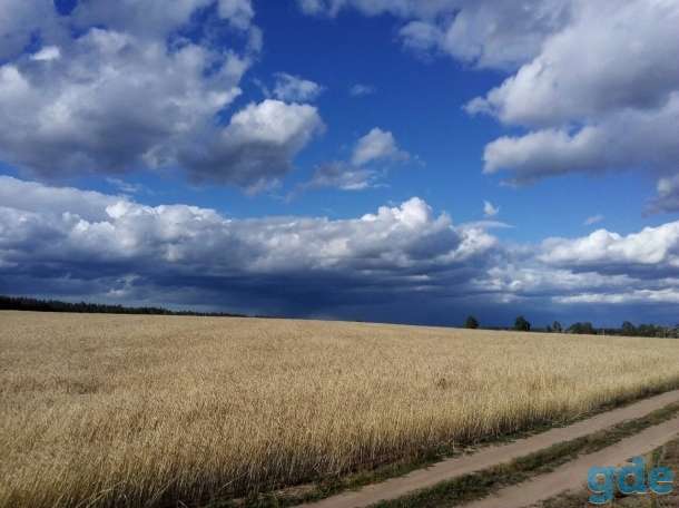 Продам дом в деревне Буда, Смолевичский район, фотография 5