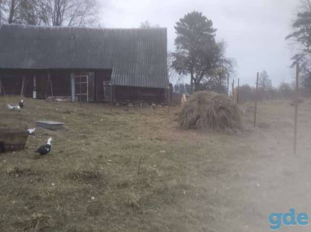 Продам усадьбу на хуторе, р-н, фотография 3