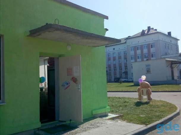 Магазин цветов, шаров и сувениров, фотография 3