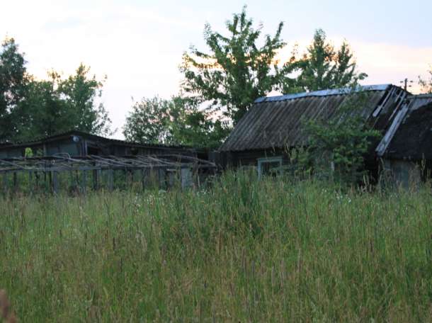 Дом в городском поселке, ул. Суражская, фотография 8