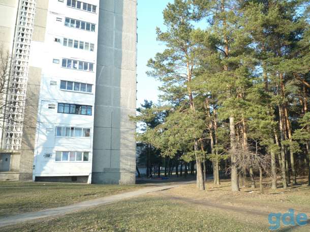 Уютная квартира, фотография 1