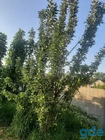 Продажа, фотография 7