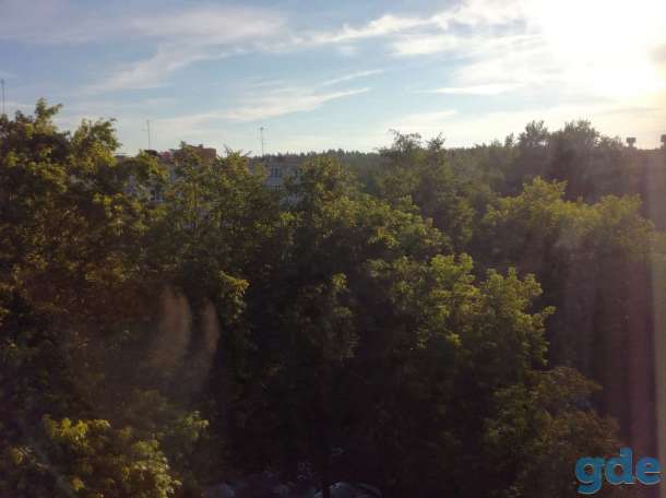 Сдается комната посуточно в агрогородке  Лесном,  Минский район, Боровляны, фотография 10