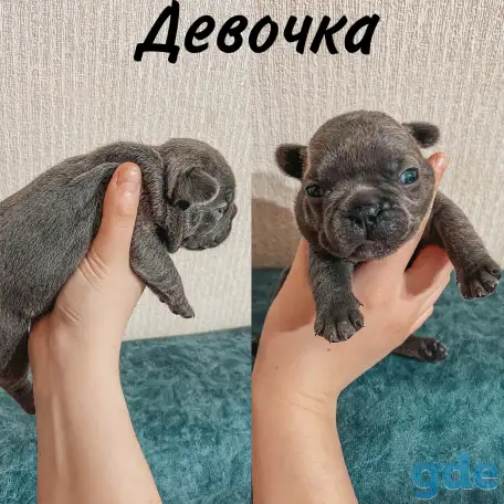 Французские булочки, фотография 5