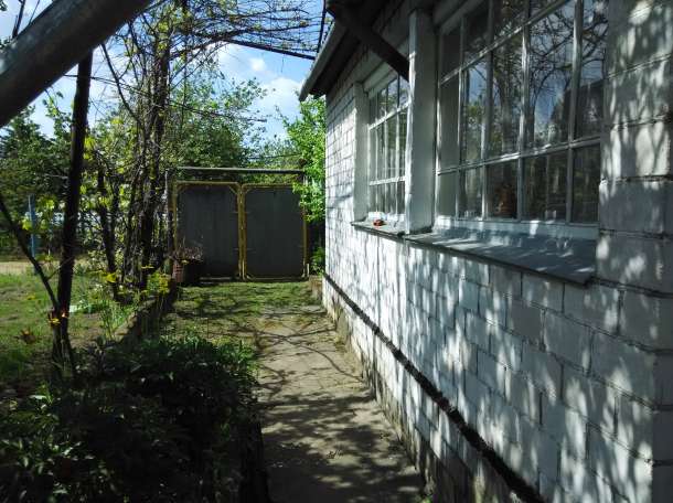 Продается дача, с.т. Подшипник, фотография 2