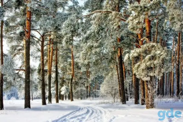 Дом в г. орша Беларусь, фотография 3