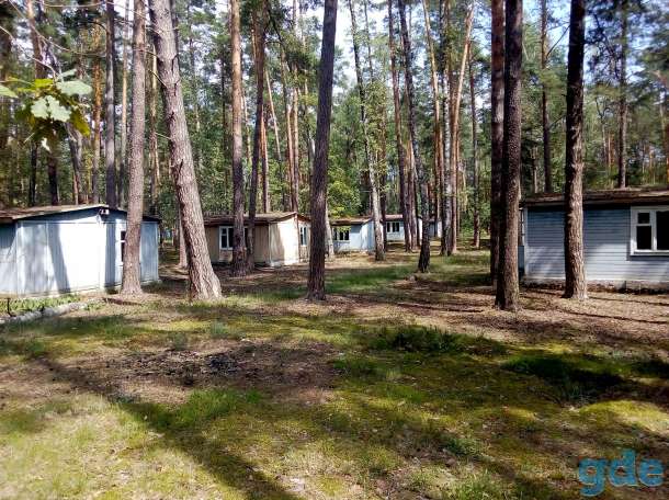 Участок на берегу озера Старик 8,0033 Га, М8 Терюхский сельский Совет район область, фотография 1