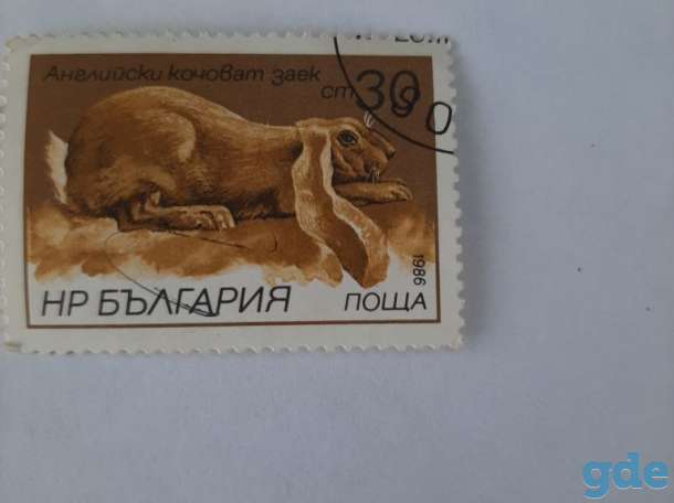 Продам, фотография 11