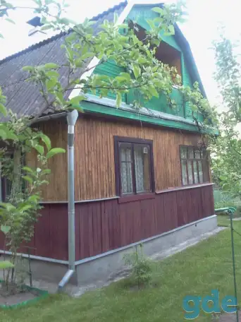 Дача в лесном массиве, фотография 2