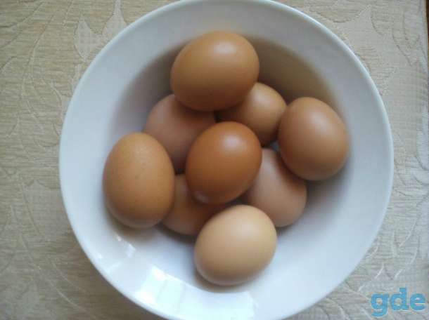 Домашние куриные яйца, фотография 1
