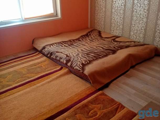 Дача белое, 152к1, садовое товарищество Химик, Гродненский район, Гродненская область, фотография 3