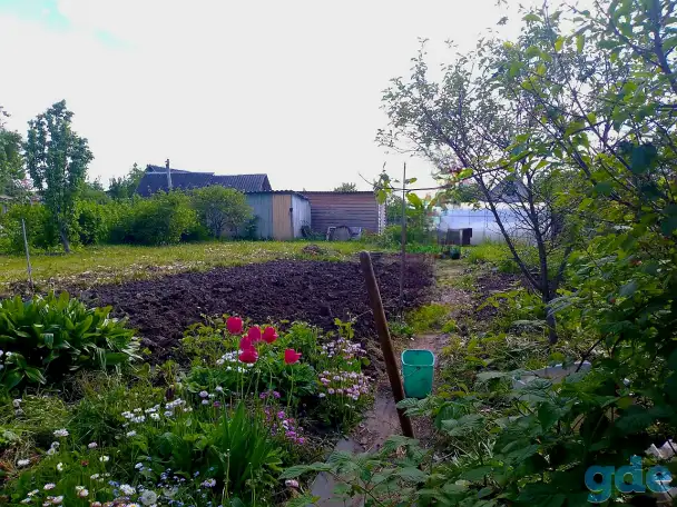 Продам дачный участок с летним домиком, Улановичи, фотография 2