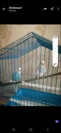 Продам, фотография 3