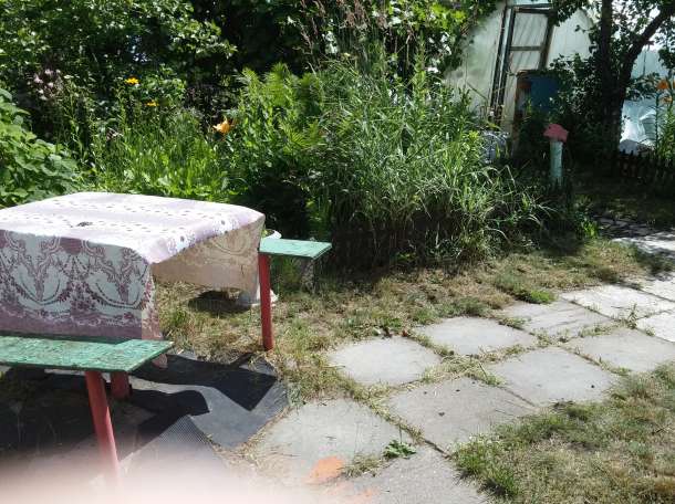 продам дачу, Пуховичский район, д. Барки, фотография 4