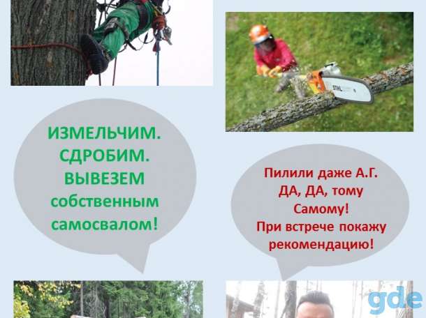 Спилить дерево, фотография 1
