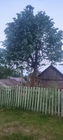 продается дом для любителей природы и охоты, фотография 1