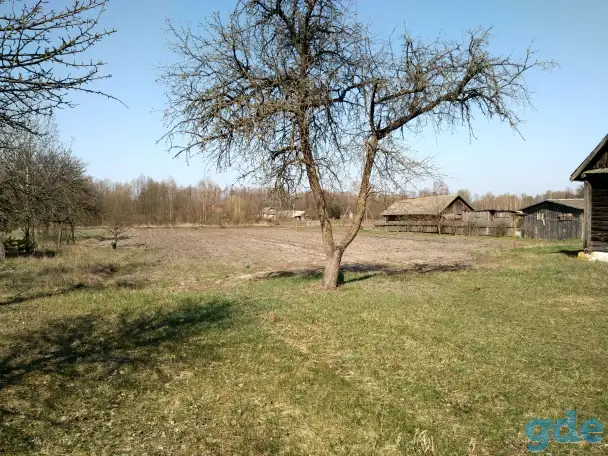 Продам домик в нескольких км от города Лунинец, Синкевичи, фотография 2