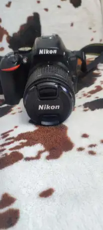 Зеркальный фотоаппарат Nikon D, фотография 1