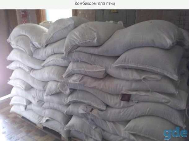 Комбикорм для птиц (кур, полнорационный), фотография 1