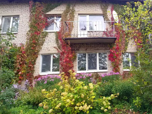 Продам квартиру в поселке в живописном месте у озера, фотография 12