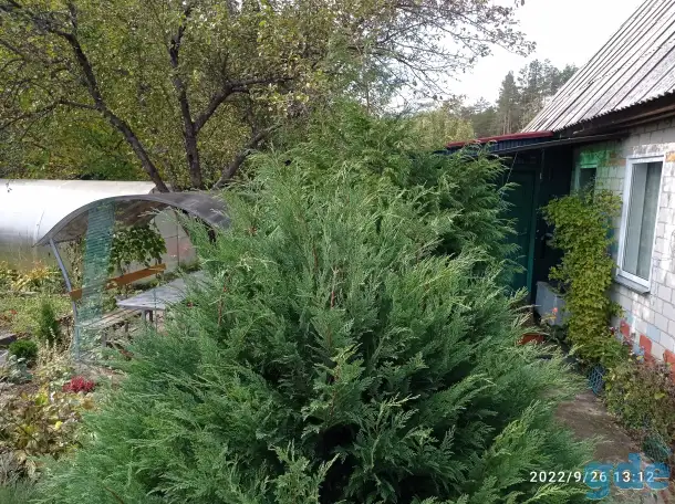 Продаётся Дача Деражня СТ Связист, фотография 10