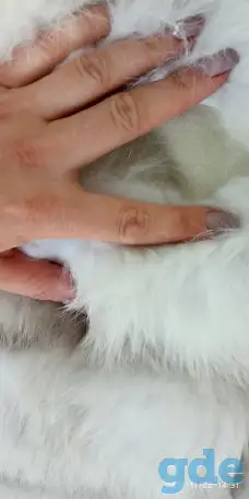 Шуба, фотография 2