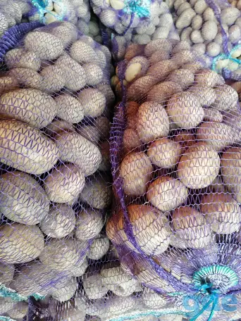 Продам картофель, фотография 2