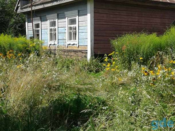 Продам дом (8000$), Октябрьский сельский Совет, Малые Завшицы, ул. Школьная д.5, фотография 2