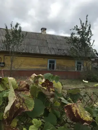 Продам дом в деревне, Брестская область, Березовский район, , фотография 1