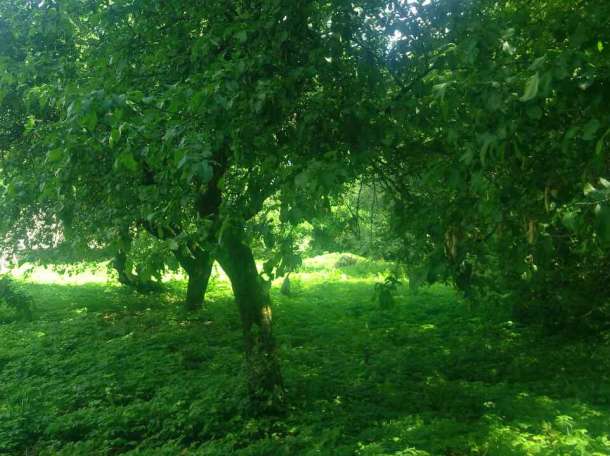 Продажа участка 90 соток под Барановичами, фотография 1