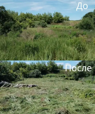 Покос травы/бурьяна/кустов Волковыск и пригород, фотография 6