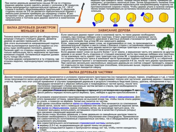 Плакаты Лесосечные работы комплект 6 плакатов, фотография 3