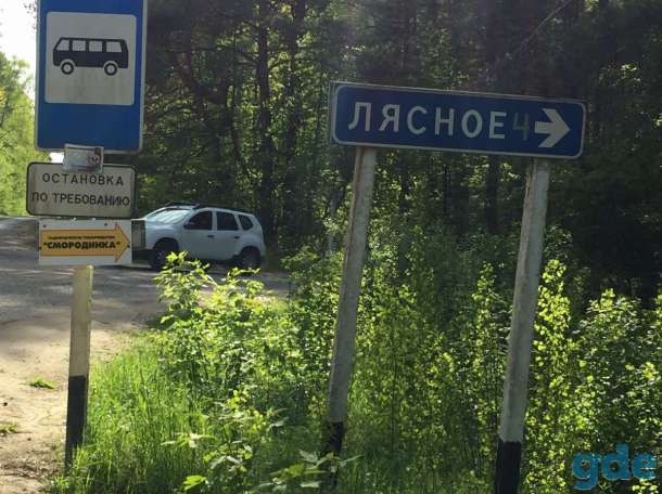 продажа садового участка, Лесное 4, фотография 5