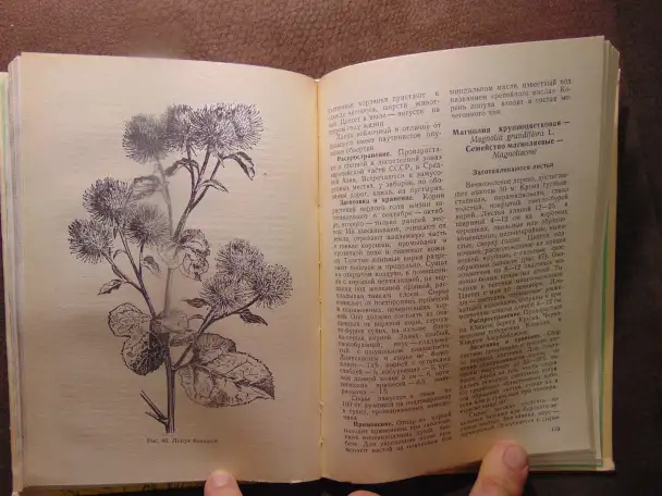 Заготовка дикорастущей продукции (пособие), издательство Ураджай, 1977 год, 240 страниц. Авторы: Коршиков Б. М., Митюков, фотография 6