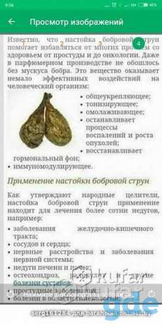 Бобровая струя, фотография 2