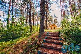 База отдыза, Витебская область, район, Гомельский с/с, 0,4км от деревни Далецкие, фотография 5