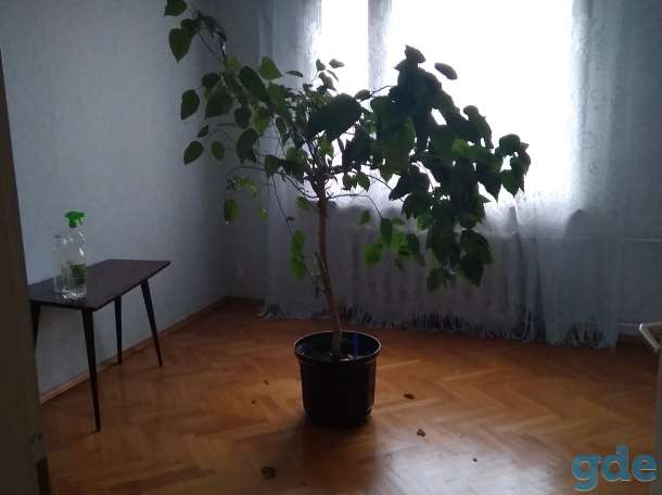 Продажа квартиры, ул.Тексер 5, фотография 3