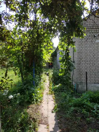 Продаю дом с участком, д.Тычинки ул. Центральная д.11, фотография 4